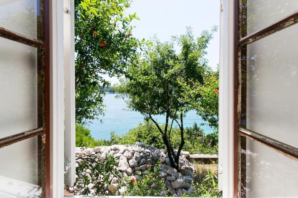 Guest House Simunovic Sudurad Kültér fotó