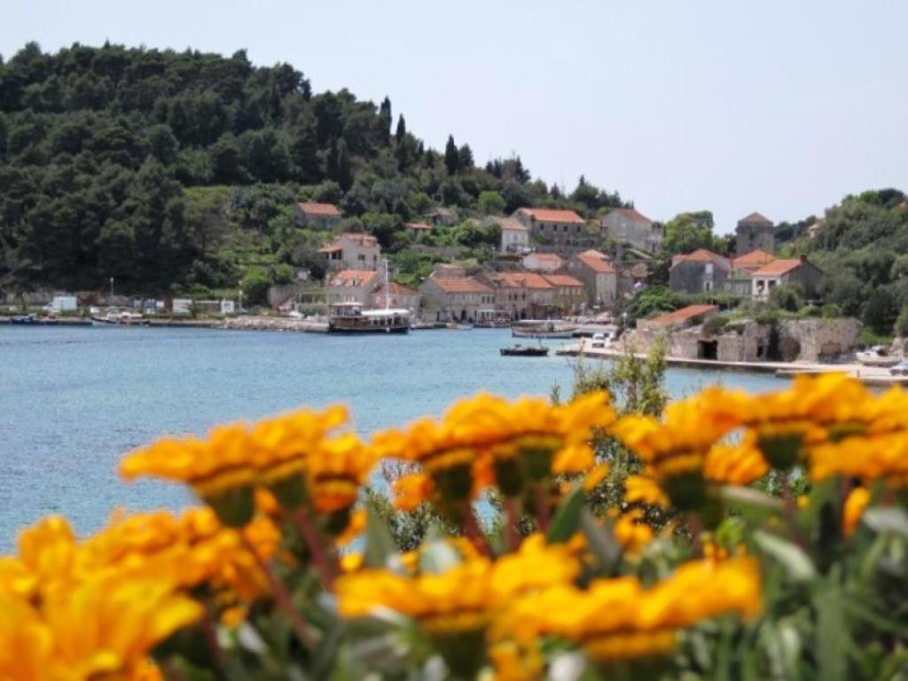 Guest House Simunovic Sudurad Kültér fotó
